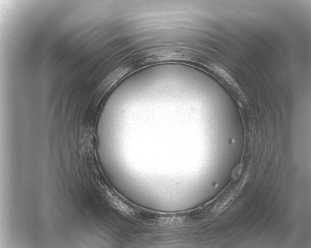 X0000056030793200509170035