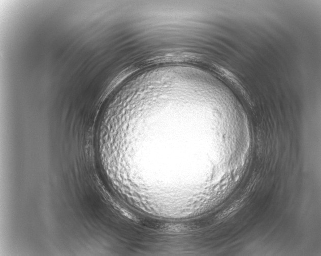 X0000056030794200509170035