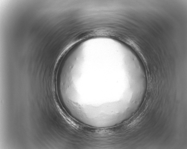 X0000056030795200509170035