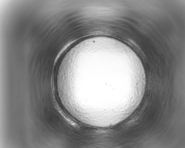 X0000056030796200509170035