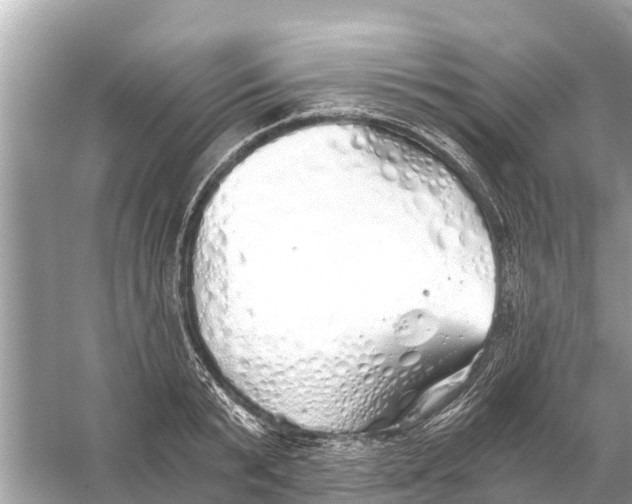 X0000056030799200509170035