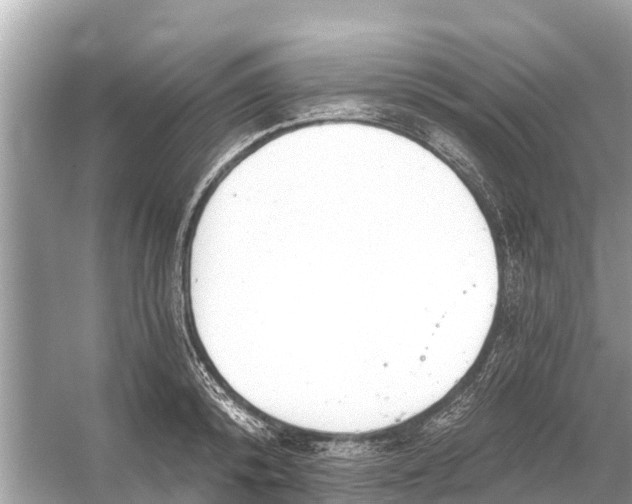 X0000056030800200509170035