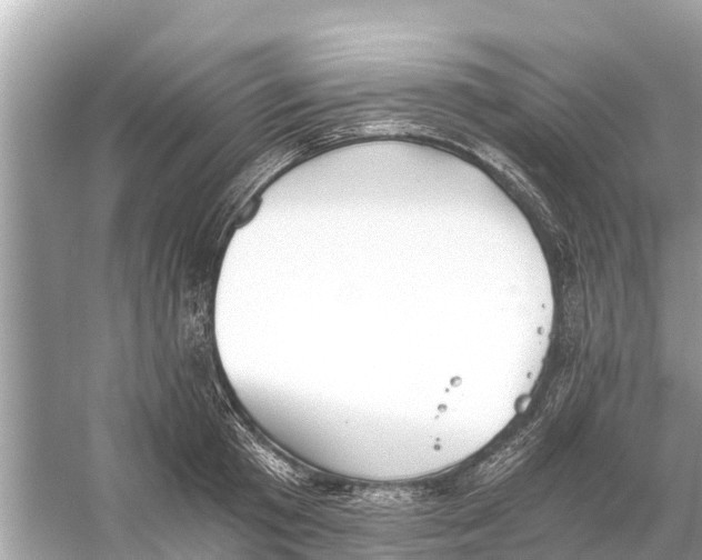 X0000056030801200509170035