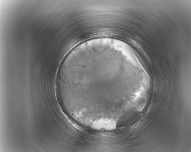 X0000056030802200509170035