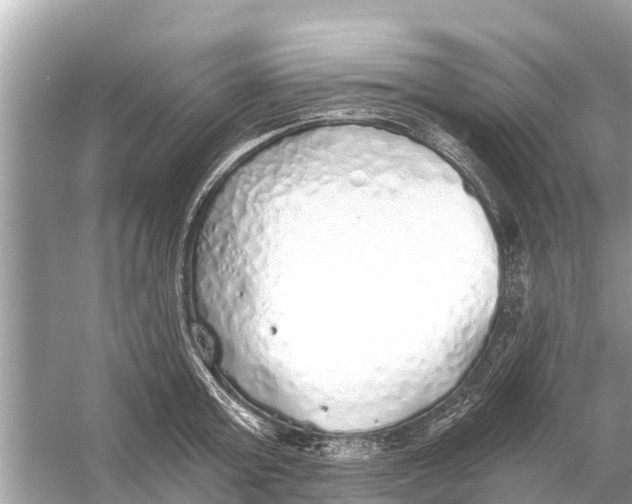 X0000056030803200509170035