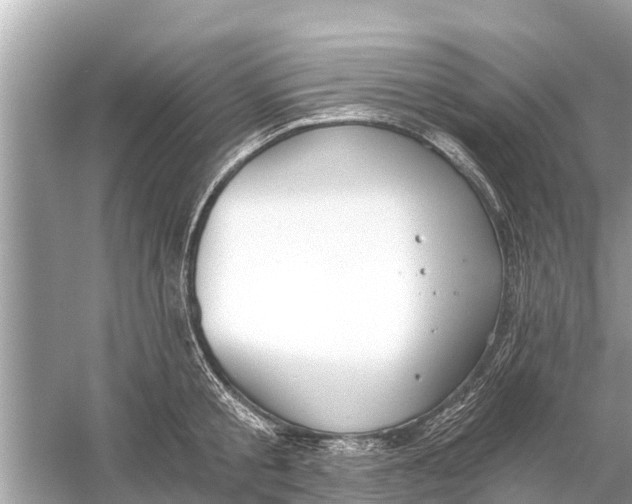 X0000056030805200509170035