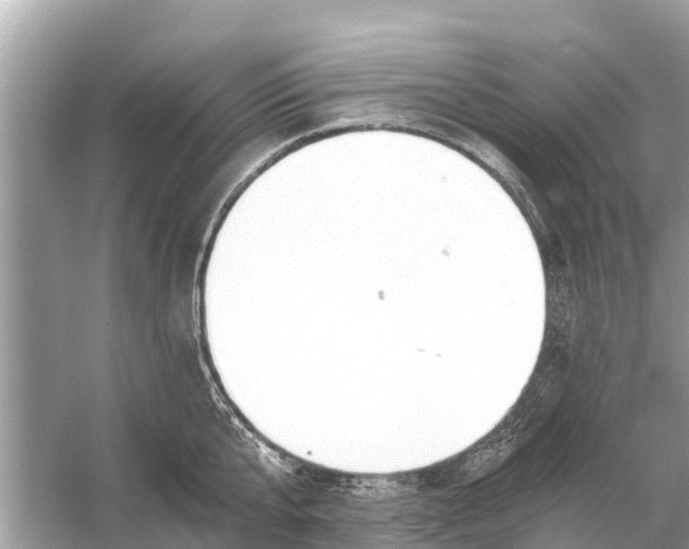 X0000056030807200509170035