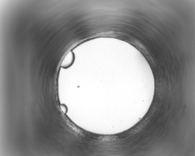 X0000056030808200509170035