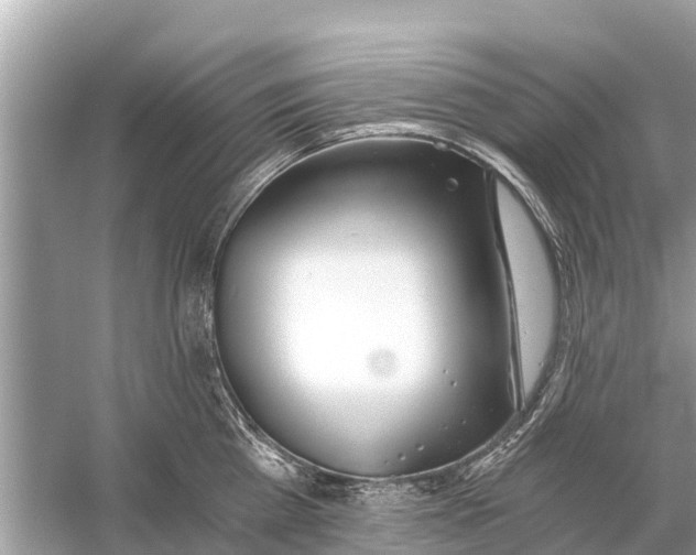 X0000056030809200509170035