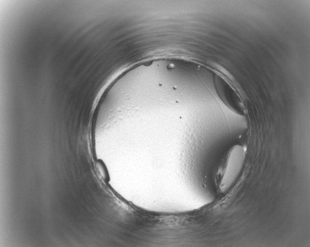 X0000056030812200509170035