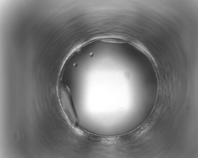 X0000056030813200509170035