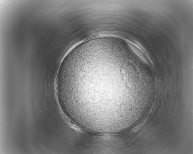 X0000056030814200509170035