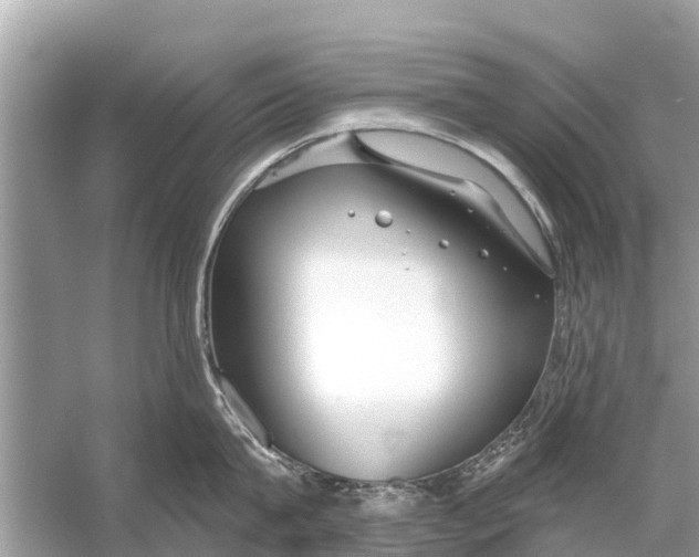 X0000056030815200509170035