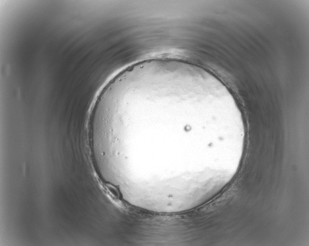 X0000056030816200509170035