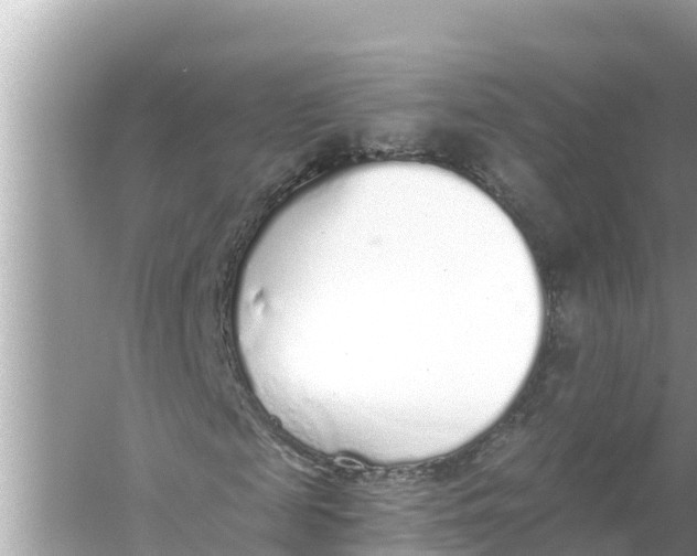 X0000056030817200509170034