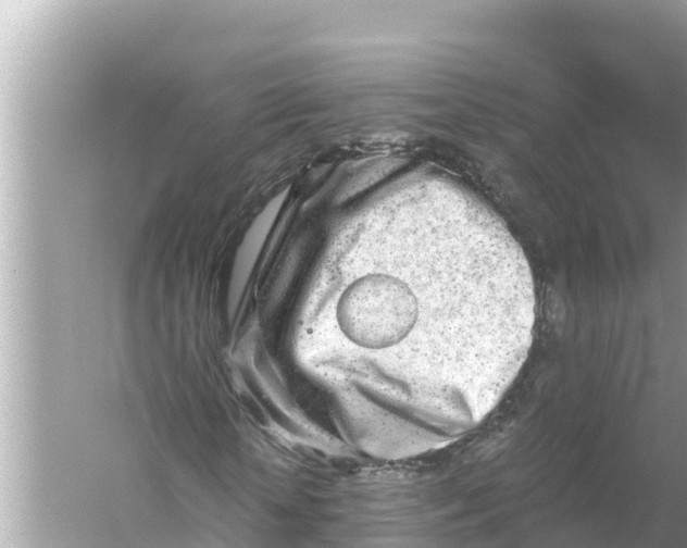 X0000056030818200509170034