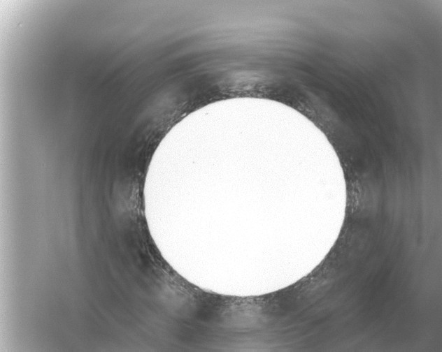 X0000056030820200509170034