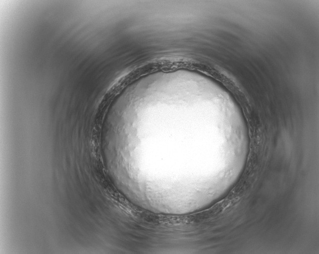 X0000056030823200509170034