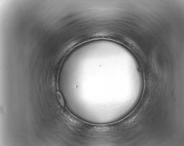 X0000056030825200509170034