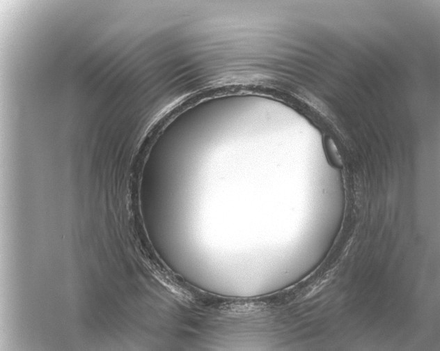 X0000056030826200509170034