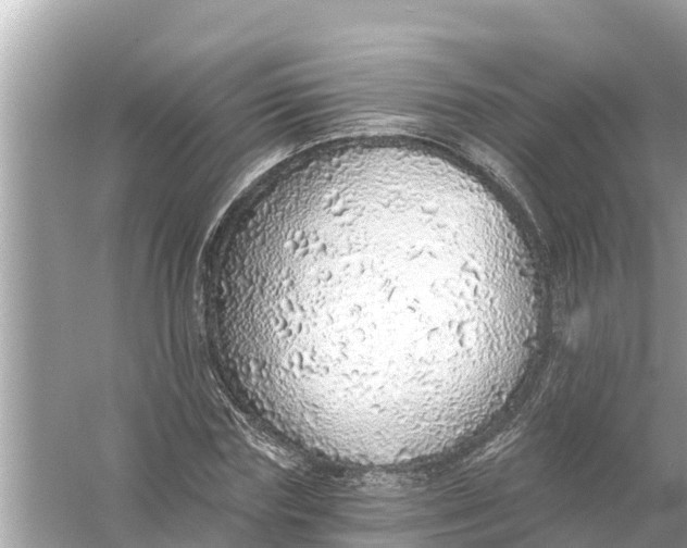 X0000056030827200509170034