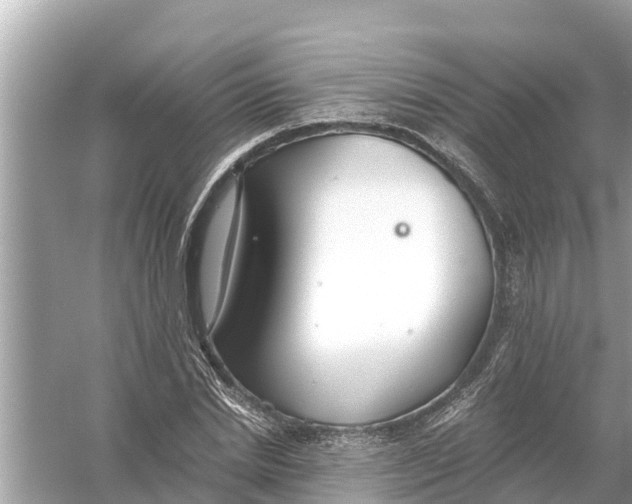 X0000056030830200509170034