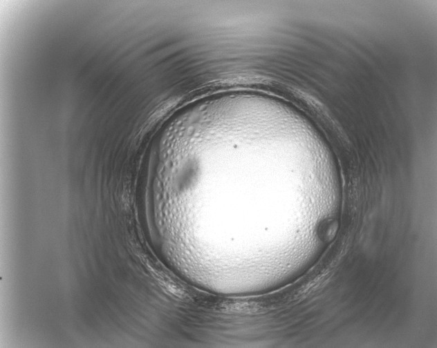 X0000056030833200509170034