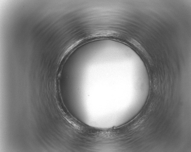 X0000056030834200509170034