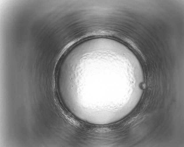 X0000056030837200509170034