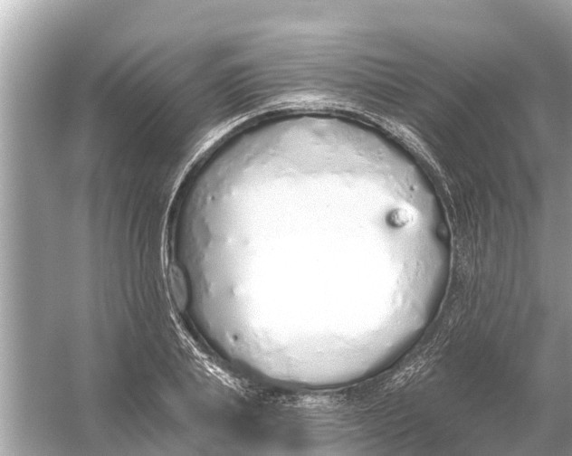 X0000056030839200509170034