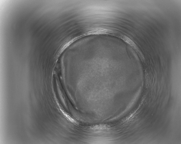 X0000056030842200509170034