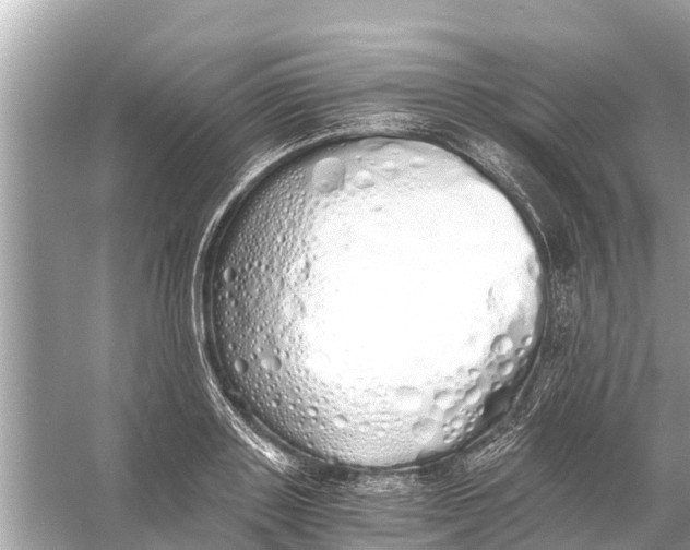 X0000056030843200509170034