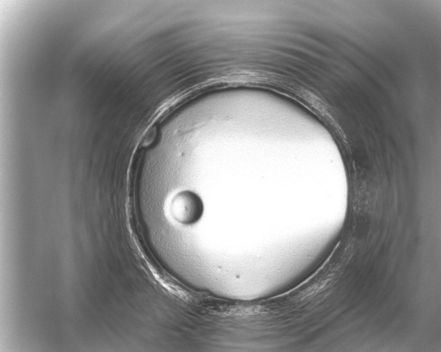 X0000056030845200509170034