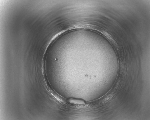 X0000056030846200509170034