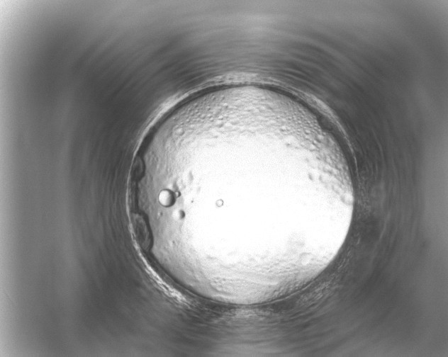 X0000056030847200509170034