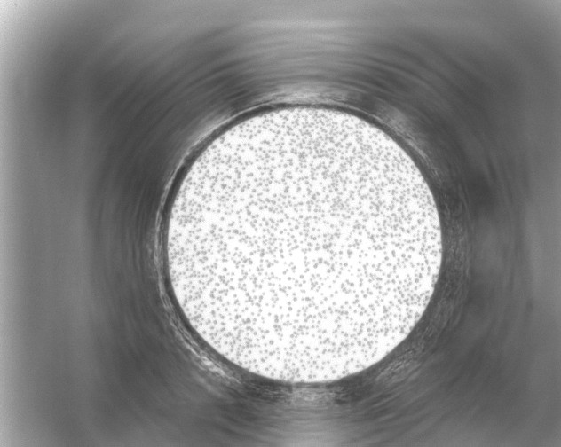 X0000056030848200509170034