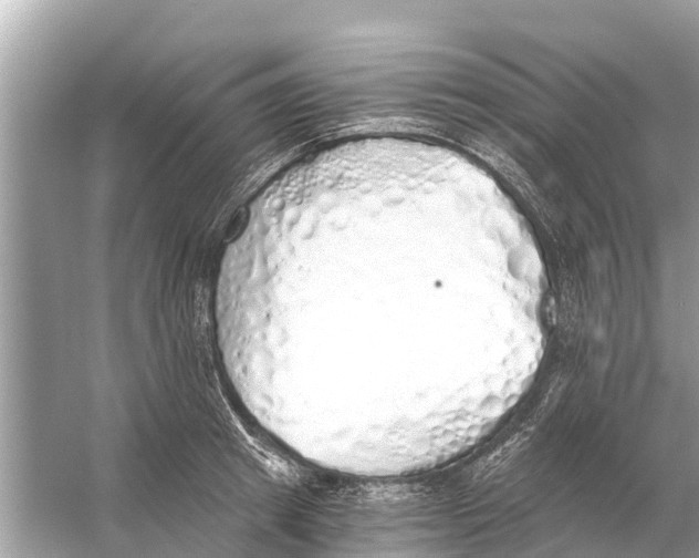 X0000056030849200509170034