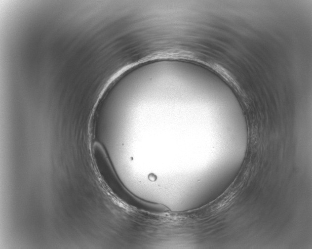 X0000056030854200509170034