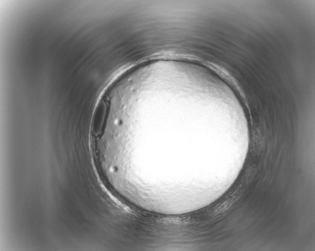 X0000056030855200509170034