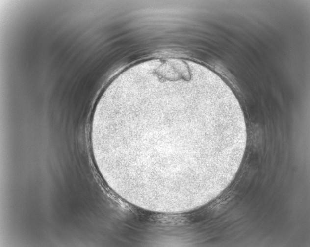 X0000056030856200509170034