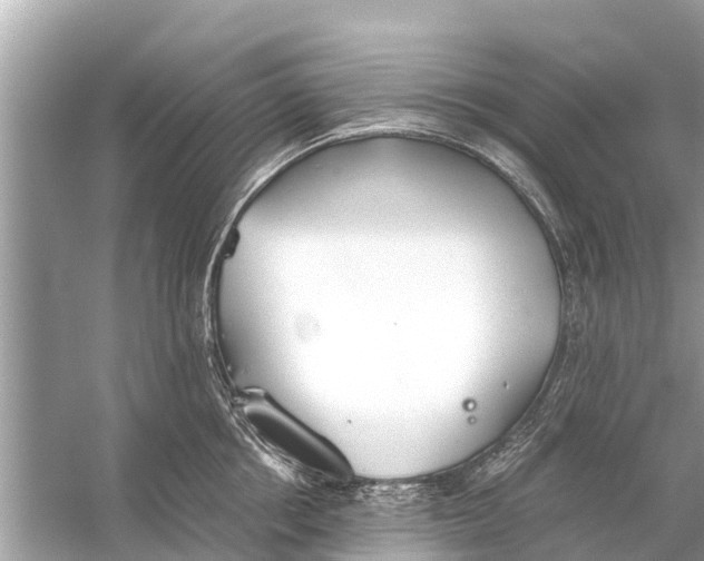 X0000056030858200509170034