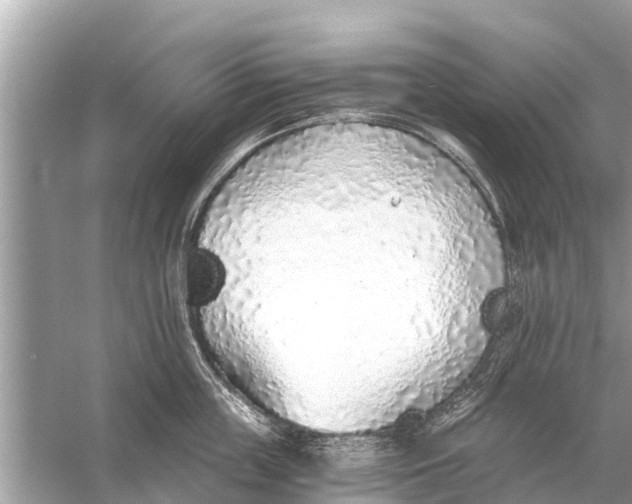 X0000056030859200509170035