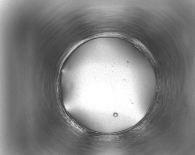 X0000056030860200509170035