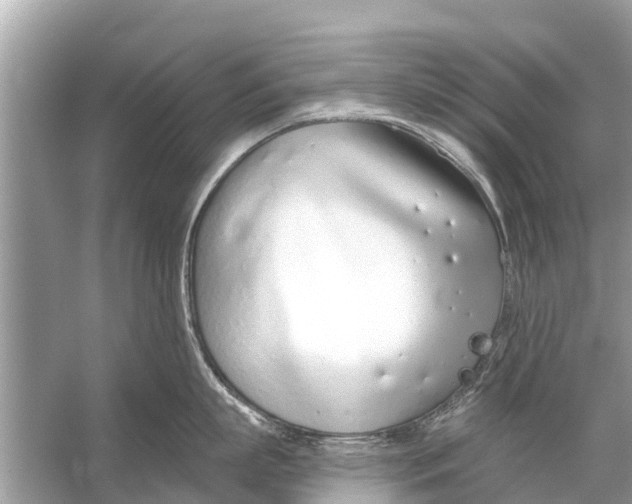 X0000056030863200509170035