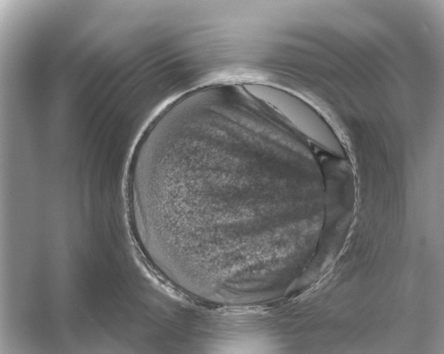 X0000056030864200509170035