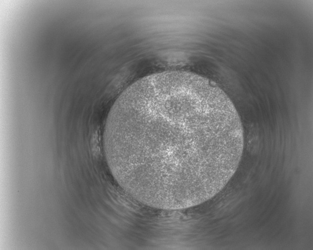 X0000056030866200509170034