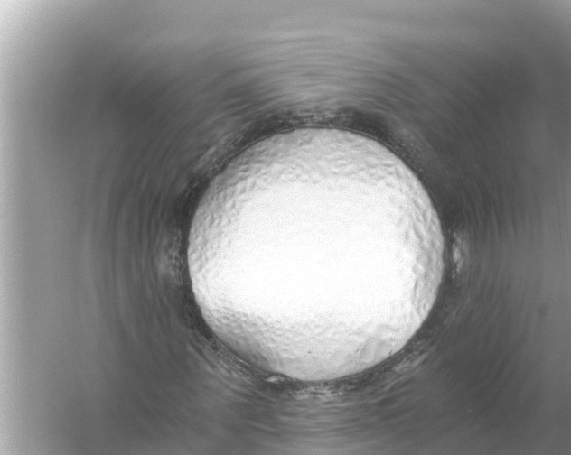 X0000056030867200509170034