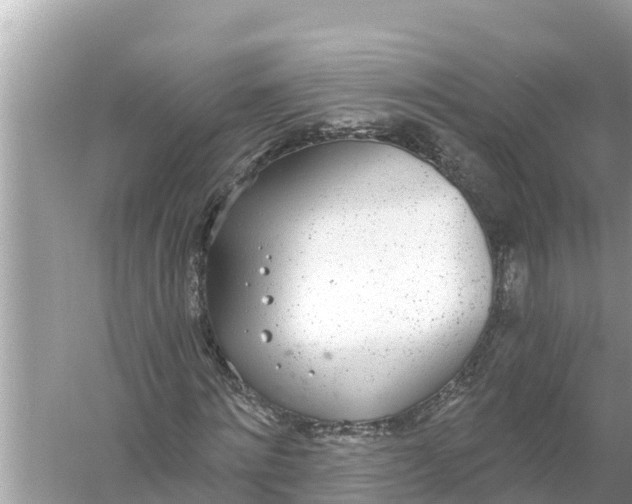 X0000056030868200509170034