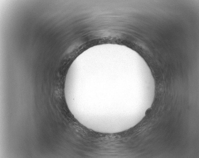 X0000056030869200509170034