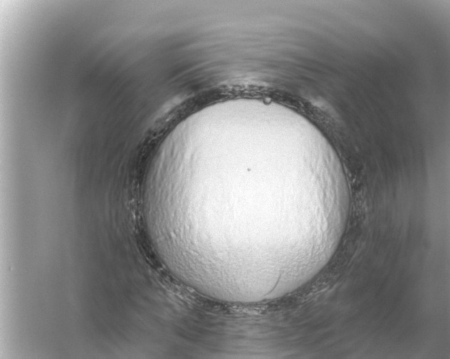 X0000056030870200509170034